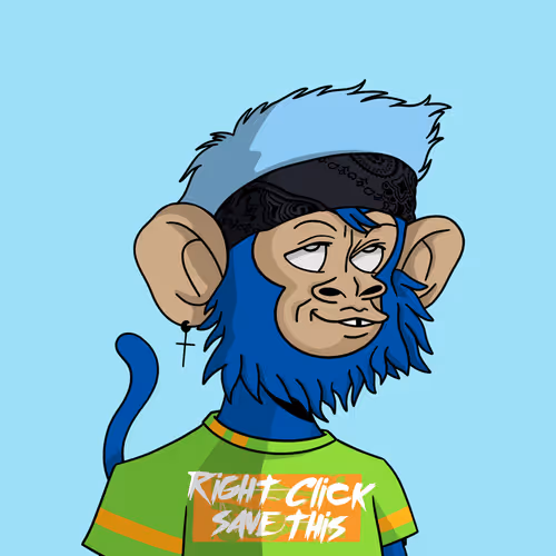Cool Kid 5291