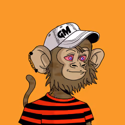 Cool Kid 995