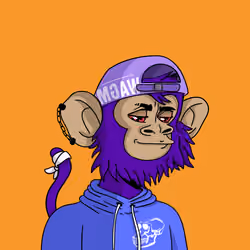 Cool Kid 448