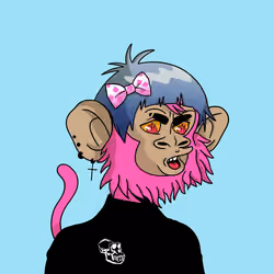 Cool Kid 24