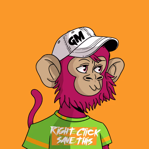 Coolkidznft