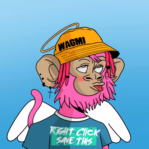 Coolkidznft