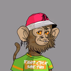 Cool Kid 857