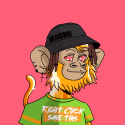 Cool Kid 466