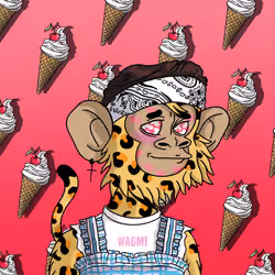 Cool Kid 2716
