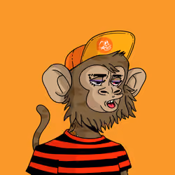 Cool Kid 5113