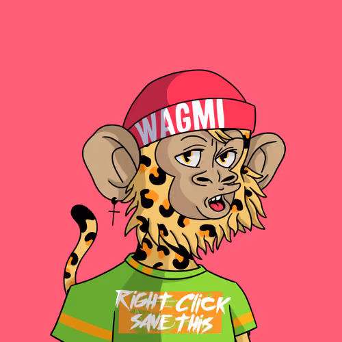 Cool Kid 1328