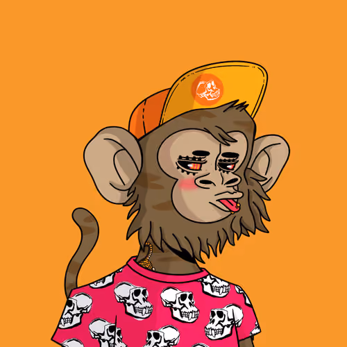 Cool Kid 816