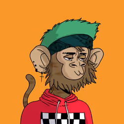 Cool Kid 741
