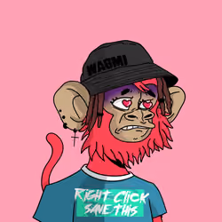 Cool Kid 863