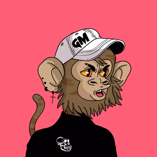 Cool Kid 2269