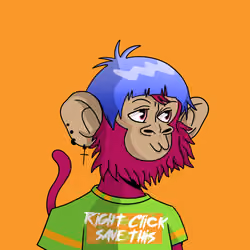 Cool Kid 363