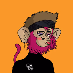 Cool Kid 74