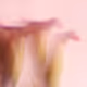 [time frames]