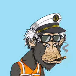 Grandpa Ape #2809