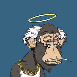 Grandpa Ape #2504