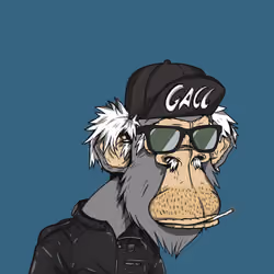 Grandpa Ape #4763