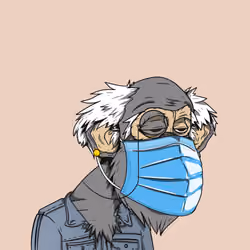 Grandpa Ape #1811