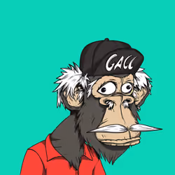 Grandpa Ape #2666