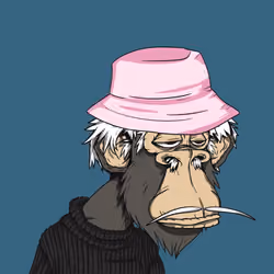 Grandpa Ape #1685