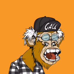 Grandpa Ape #4508
