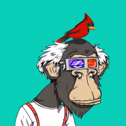 Grandpa Ape #2139