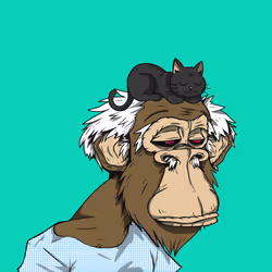 Grandpa Ape #4186