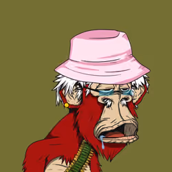 Grandpa Ape #1798