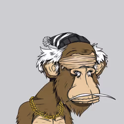Grandpa Ape #4236
