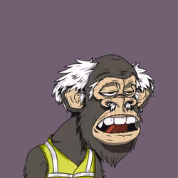 Grandpa Ape #4321