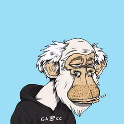Grandpa Ape #2412