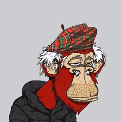 Grandpa Ape #4764