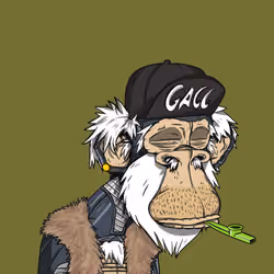 Grandpa Ape #3242