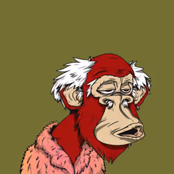 Grandpa Ape #4879