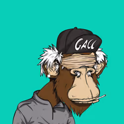 Grandpa Ape #3481