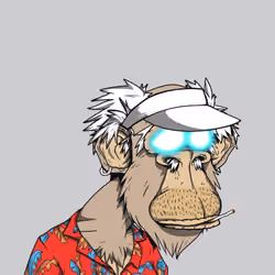 Grandpa Ape #1555