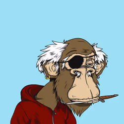 Grandpa Ape #3691
