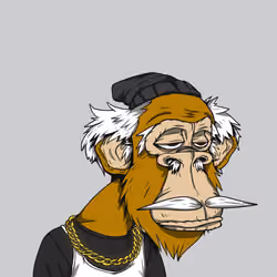 Grandpa Ape #2517