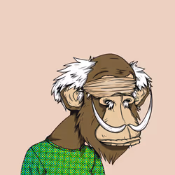 Grandpa Ape #2457