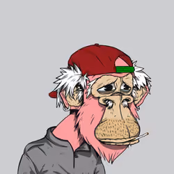 Grandpa Ape #736