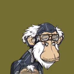Grandpa Ape #4616