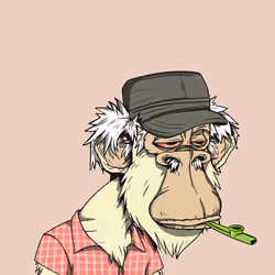 Grandpa Ape #3803