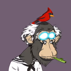Grandpa Ape #4440