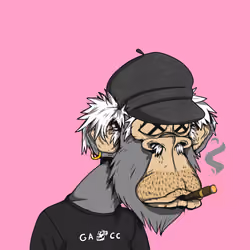 Grandpa Ape #4239