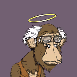 Grandpa Ape #1338