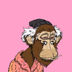 Grandpa Ape #1900