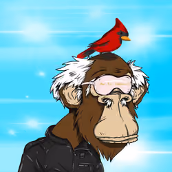 Grandpa Ape #3348