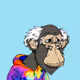 Grandpa Ape #4970