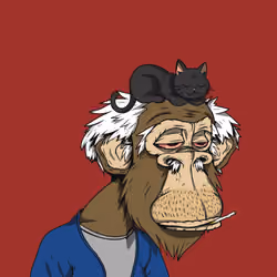 Grandpa Ape #2545