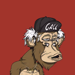 Grandpa Ape #3776